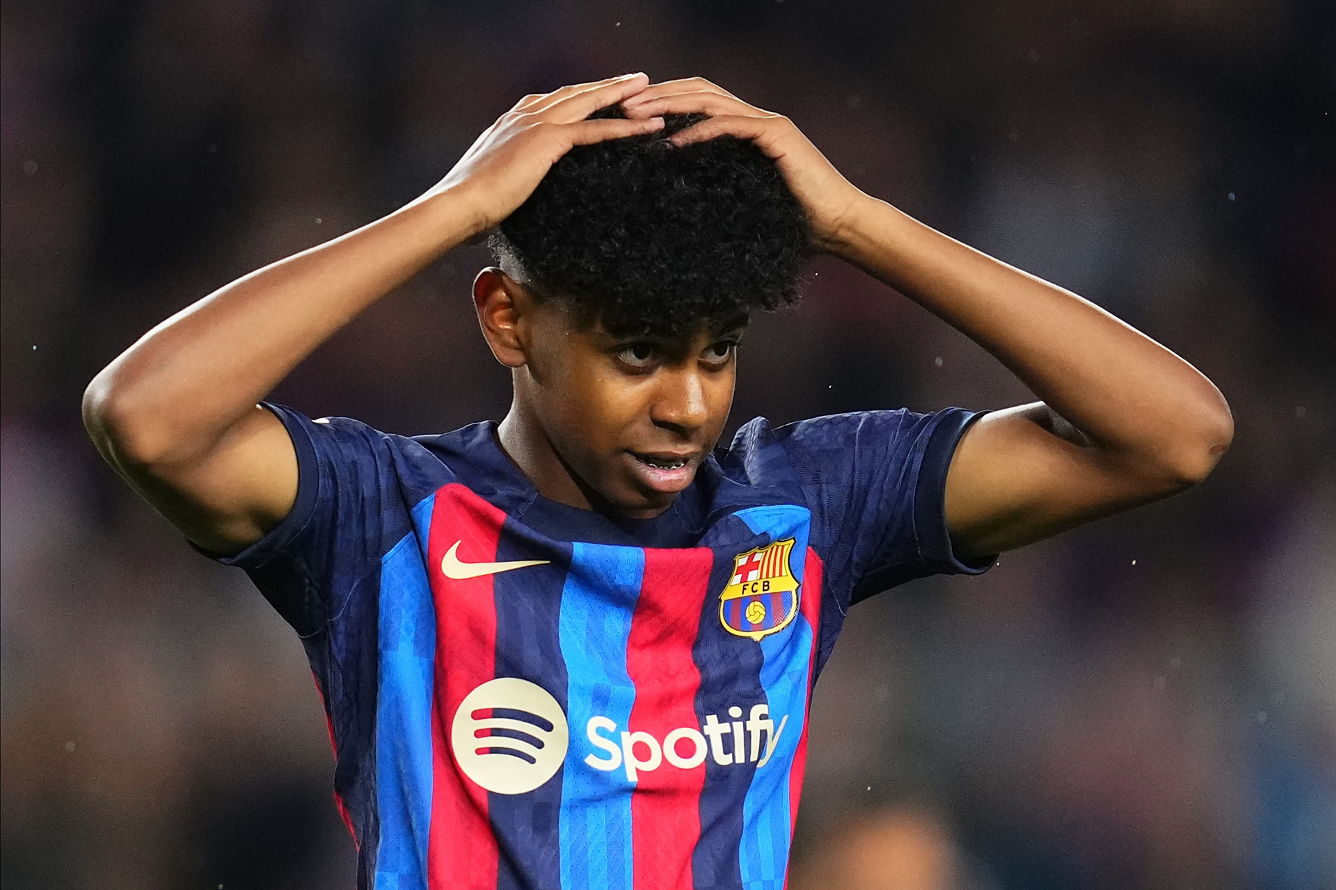 规则的黑箱 规则的黑箱